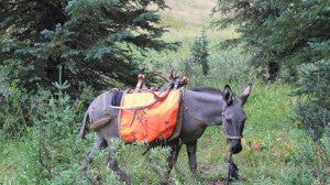 International Sportsmen’s Expo – Denver, CO