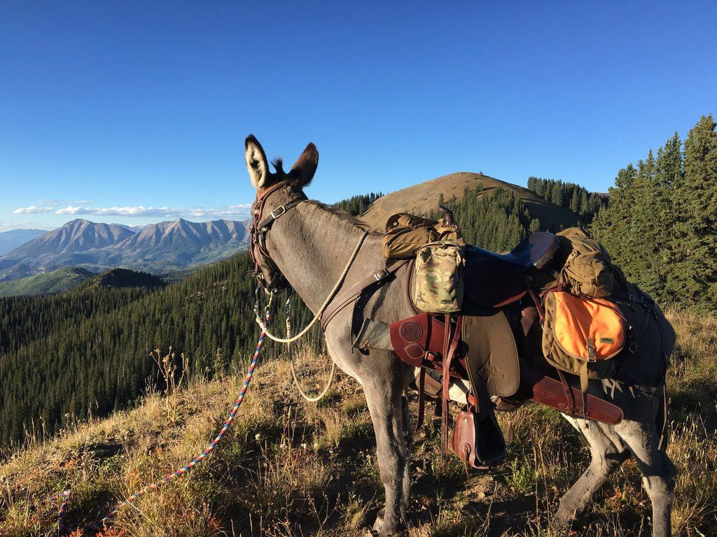 Cleaning and Caring for Your Pack Pannier