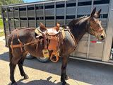 ComfortStride - Mule/Mammoth Donkey Trail Pad