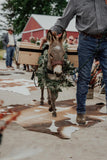 Mini Beverage Burro Package: Biothane Pack Saddle