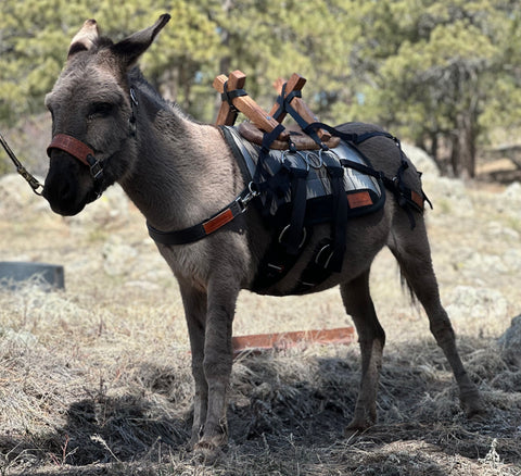 Pack Saddle: 18" - Nylon/Biothane