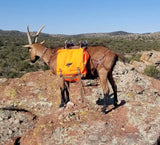 Pack Lite - Ridge Walker Pannier (Set of two)