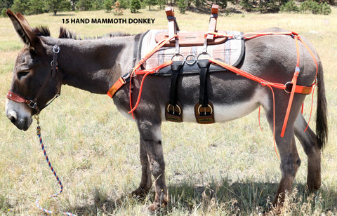 Pack Saddle Rigging - No Saddle