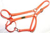 Halter - Mini Adjustable Nose