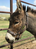 Halter - Mini Adjustable Nose
