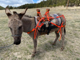 Mini Donkey Pack Saddle