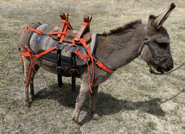 Pack Saddle Sawbuck Mountain Ridge Gear