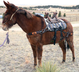 Pack Saddle - Sawbuck