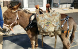 Mini Donkey Saddle