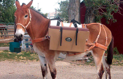 Pack Pannier - Hard Plastic, Set of two – Mountain Ridge Gear