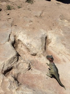 Picketwire Canyon/Dinosaur Track Site