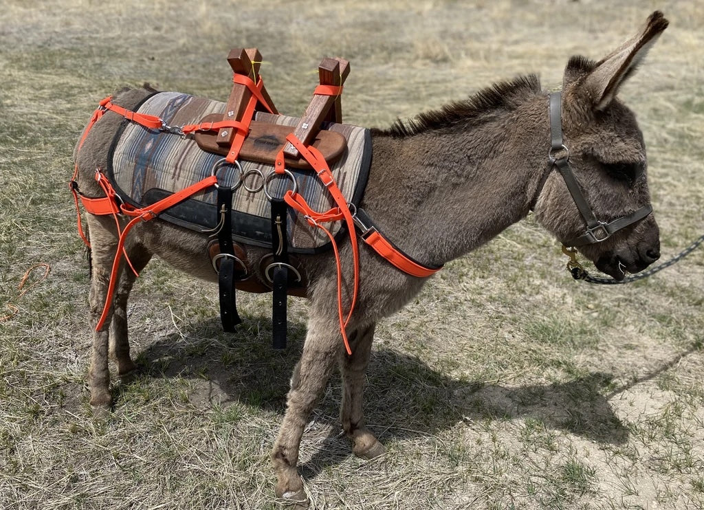 Pack Donkey
