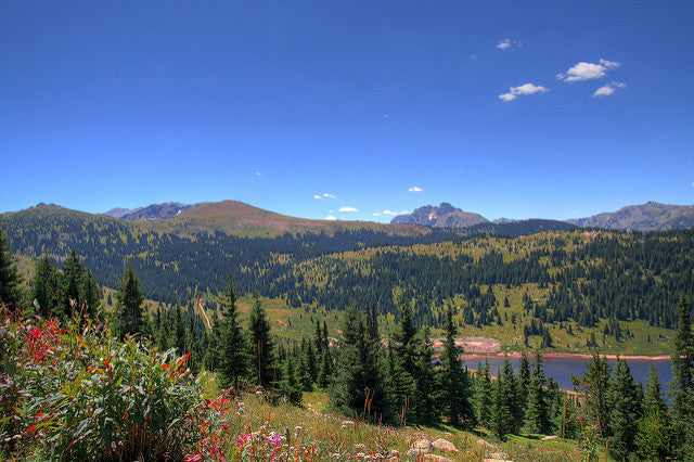 Backcountry Hunting Essentials: Preparing for a Hunt in the Backcountry