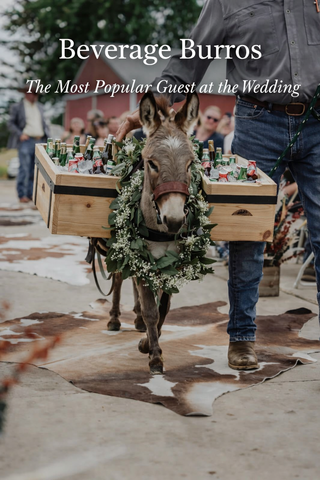 Beverage Burro Mini Pack Systems