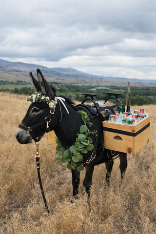 ComfortStride® Basic Mini Beverage Package