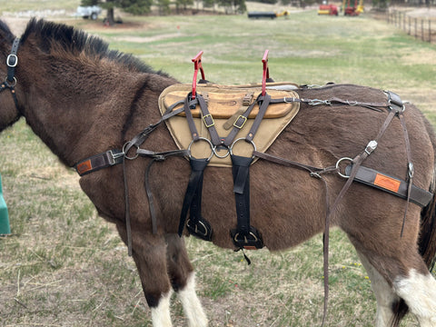 ComfortStride® Mule/Mammoth Donkey Pack Saddle