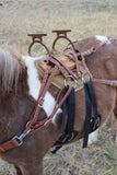 ComfortStride® Mini Pack Saddle