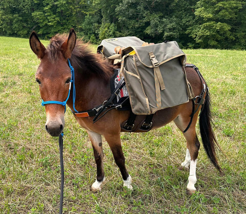 Mini Donkey Pack Saddle - Main Image