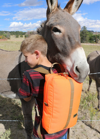 convertible pannier backpack