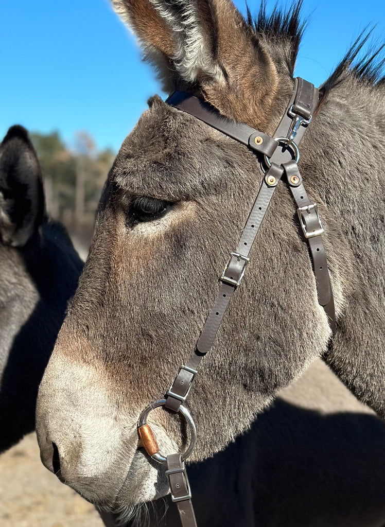 Headstall Mammoth Donkey, Mule Mountain Ridge Gear