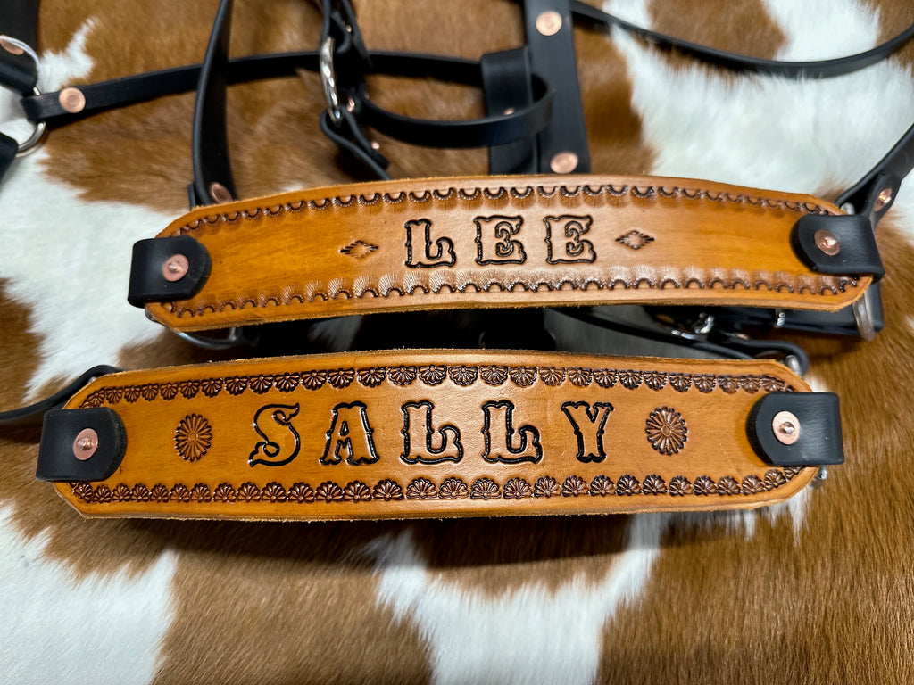 Halter Donkey Adjustable Nose Mountain Ridge Gear