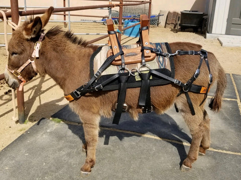 Mini Donkey Saddle