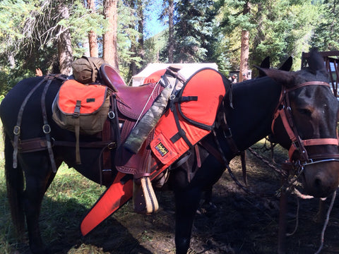 WOW English Saddle Bag Purple SALE | Natural Pet Foods